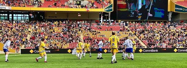 谈到巴萨参 谈到巴萨参