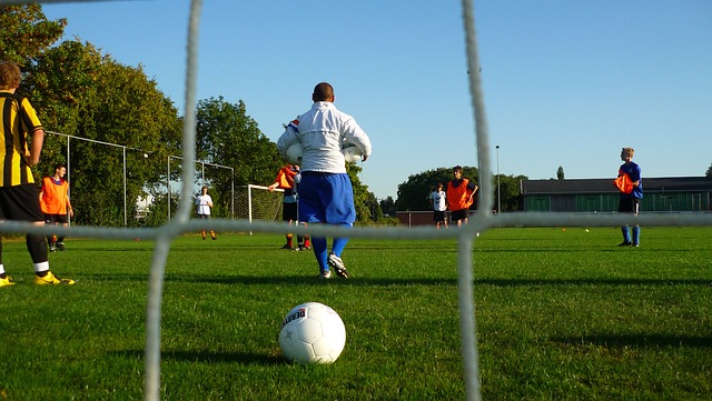 贏得了大批 贏得了大批