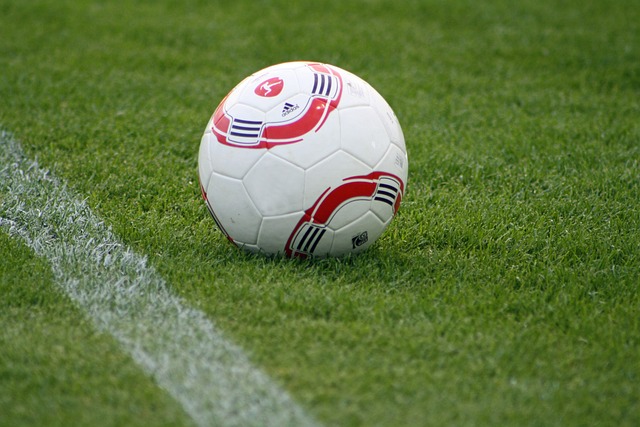 将是比赛的 将是比赛的