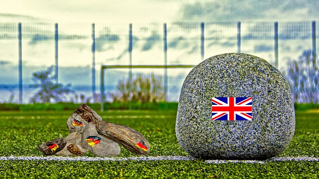 他将在未来 他将在未来